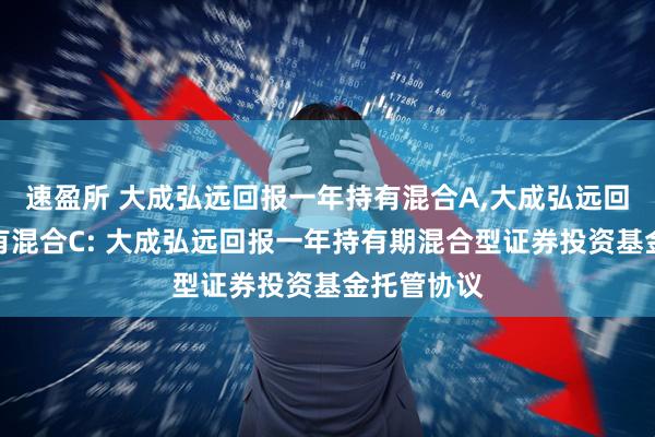 速盈所 大成弘远回报一年持有混合A,大成弘远回报一年持有混合C: 大成弘远回报一年持有期混合型证券投资基金托管协议