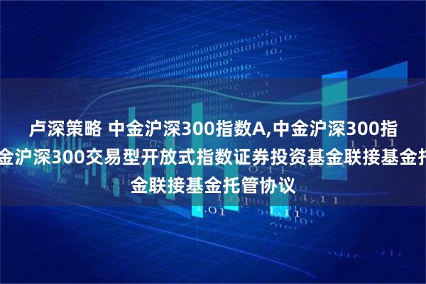 卢深策略 中金沪深300指数A,中金沪深300指数C: 中金沪深300交易型开放式指数证券投资基金联接基金托管协议