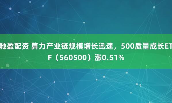 驰盈配资 算力产业链规模增长迅速，500质量成长ETF（560500）涨0.51%