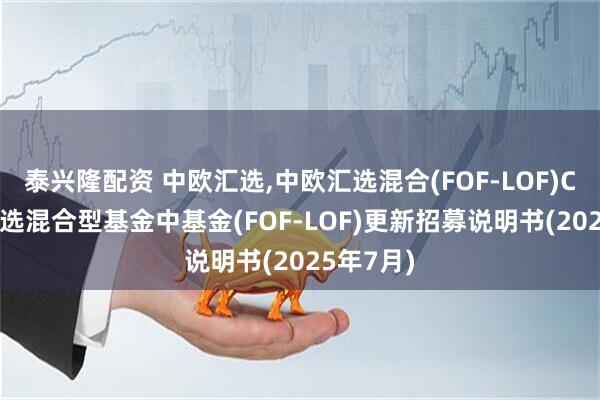 泰兴隆配资 中欧汇选,中欧汇选混合(FOF-LOF)C: 中欧汇选混合型基金中基金(FOF-LOF)更新招募说明书(2025年7月)