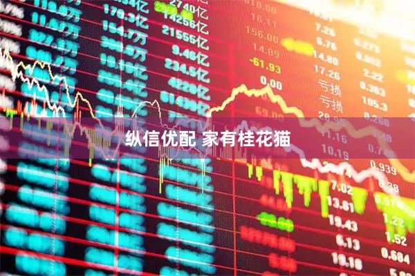 纵信优配 家有桂花猫