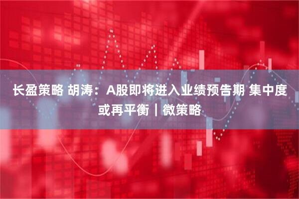 长盈策略 胡涛：A股即将进入业绩预告期 集中度或再平衡｜微策略